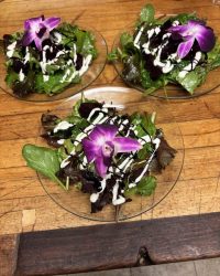 Three small salads with mixed greens, drizzled dressing, and a purple flower garnish on clear plates on a wooden table.